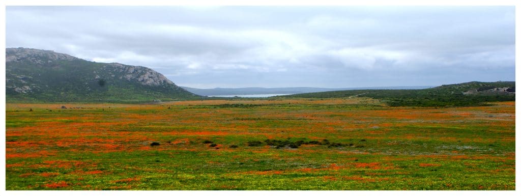 Uitzicht Zuid Afrika