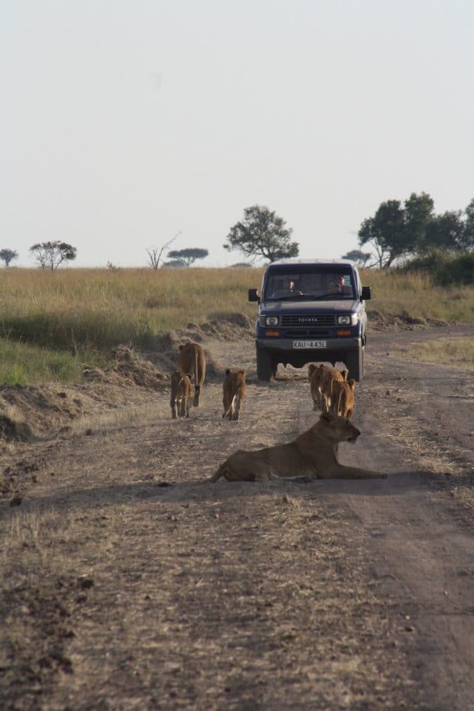 Dromen van Reizen, Dromen van Africa.