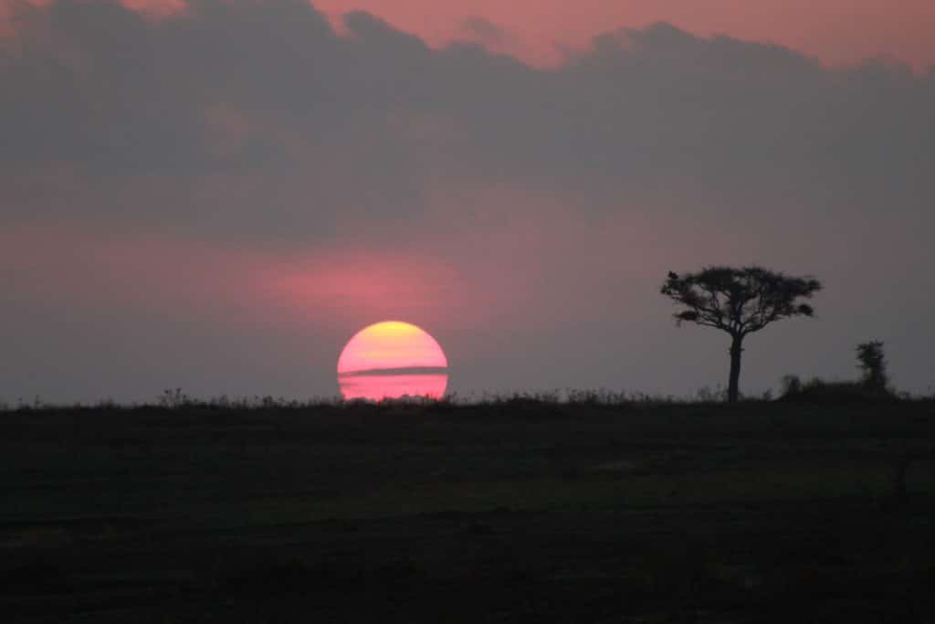 Dromen van Reizen, Dromen van Africa.
