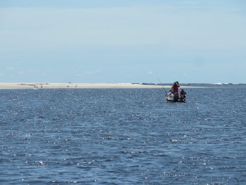 De ultieme trip door ongerepte wildlife paradijs Gabon