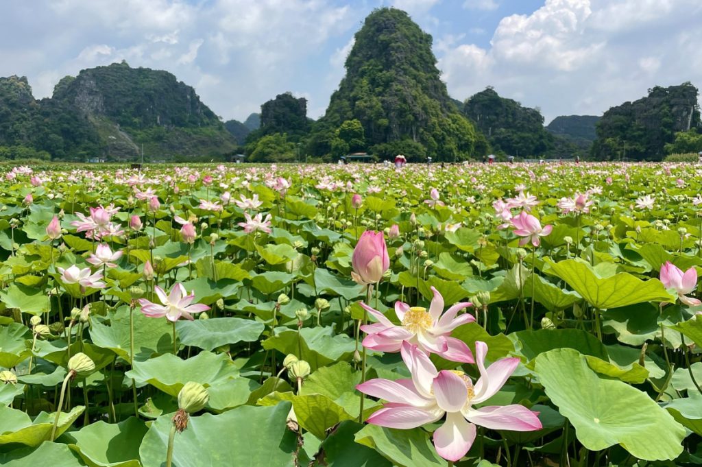 Wereld - Vietnam