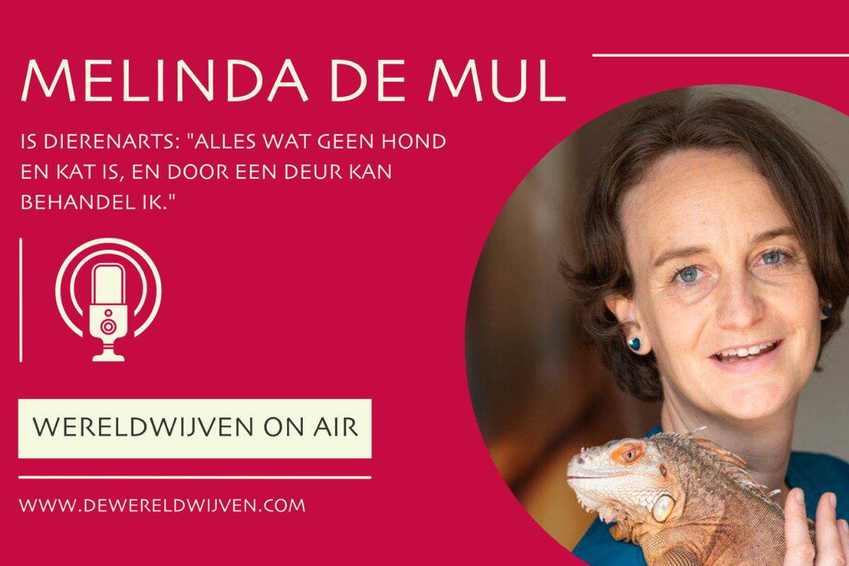 Ambitie - dierenarts
