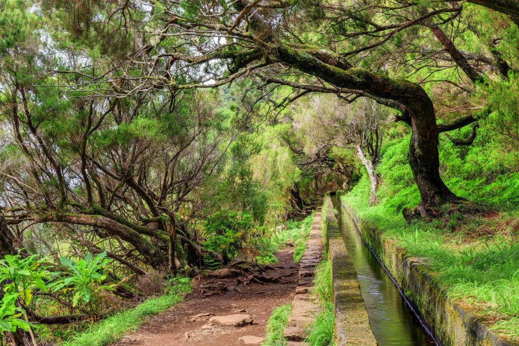 Reizen - Madeira