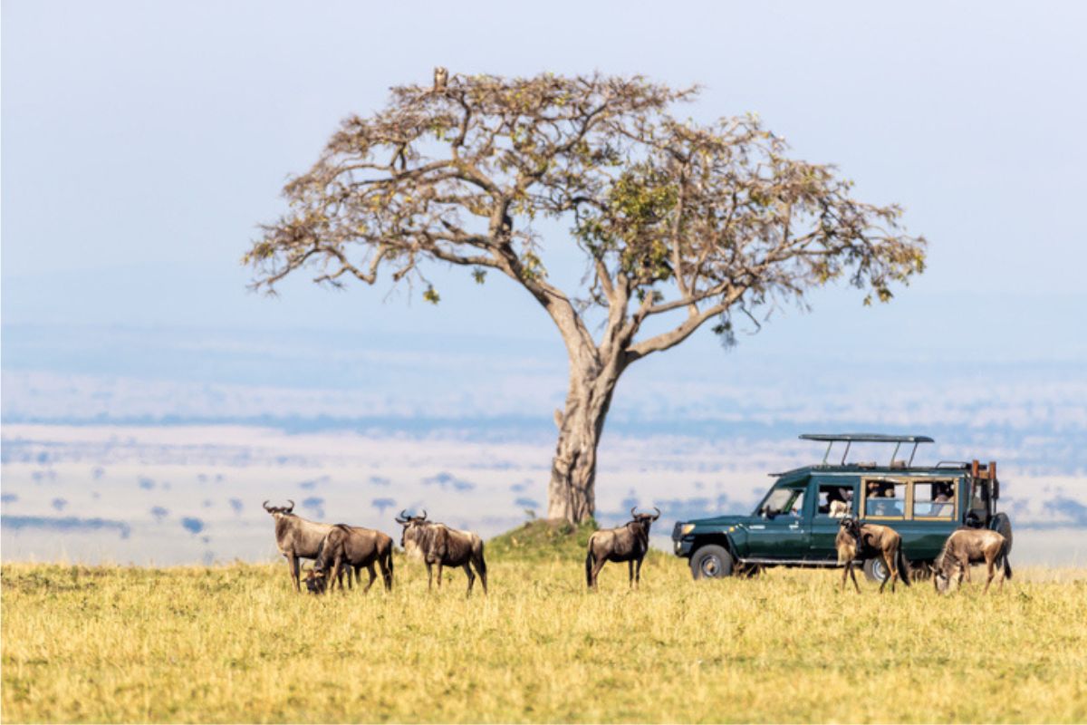 Wereld - Kenia