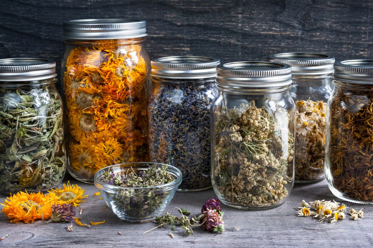 Gezondheid - natuurlijke geneeswijzen