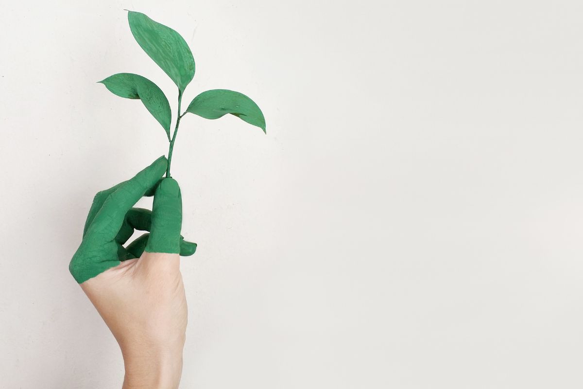 Wereld - Klimaat