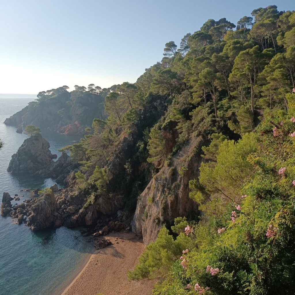 Reizen - Camí de Ronda