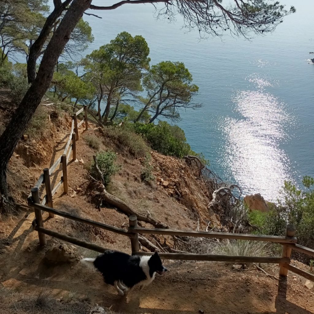 Reizen - Camí de Ronda