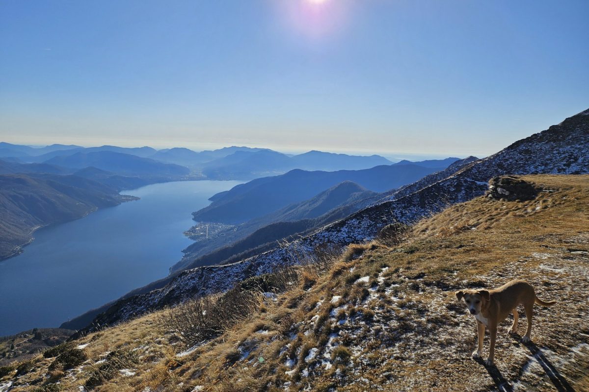 Reizen - Locarno/ Ticino