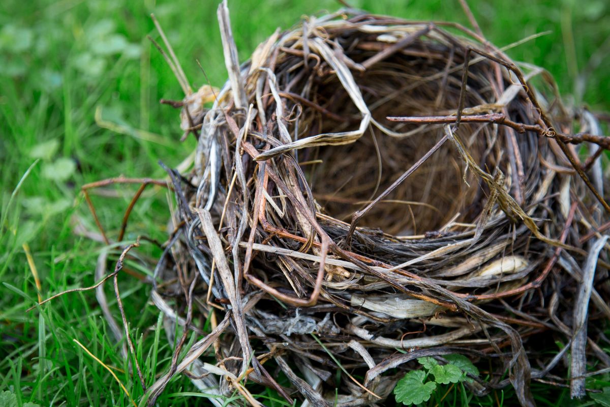 Relatie - Empty-nest-syndroom