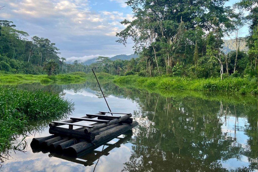 Avontuur - Peru Amazonewoud